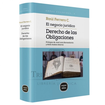 EL NEGOCIO JURÍDICO DERECHO...