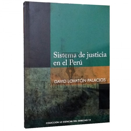 SISTEMA DE JUSTICIA EN EL...