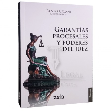 GARANTÍAS PROCESALES Y...