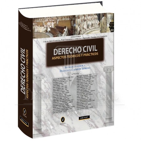 DERECHO CIVIL ASPECTOS...