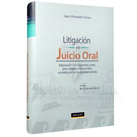 LITIGACIÓN EN JUICIO ORAL...