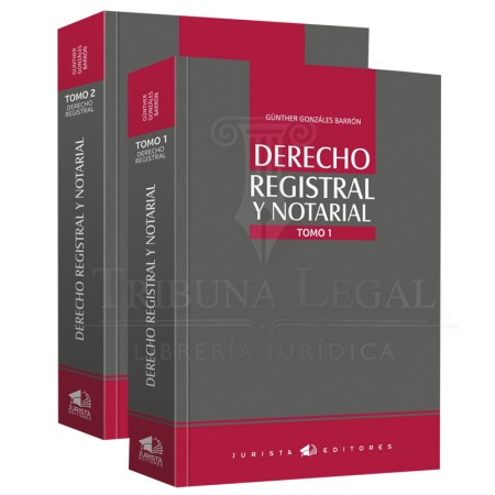 DERECHO REGISTRAL Y...