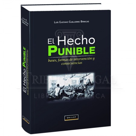 EL HECHO PUNIBLE Bases,...