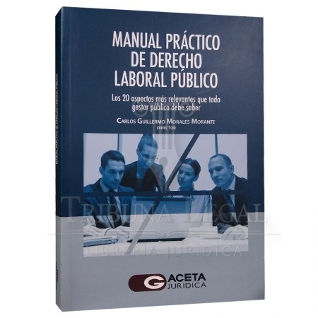 MANUAL PRÁCTICO DE DERECHO...